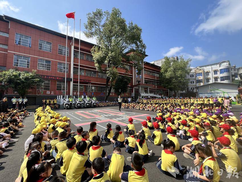 狮子会网投